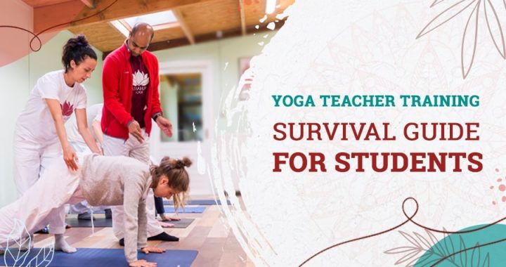 Guide De Survie Pour Les Étudiants En Formation De Professeur De Yoga